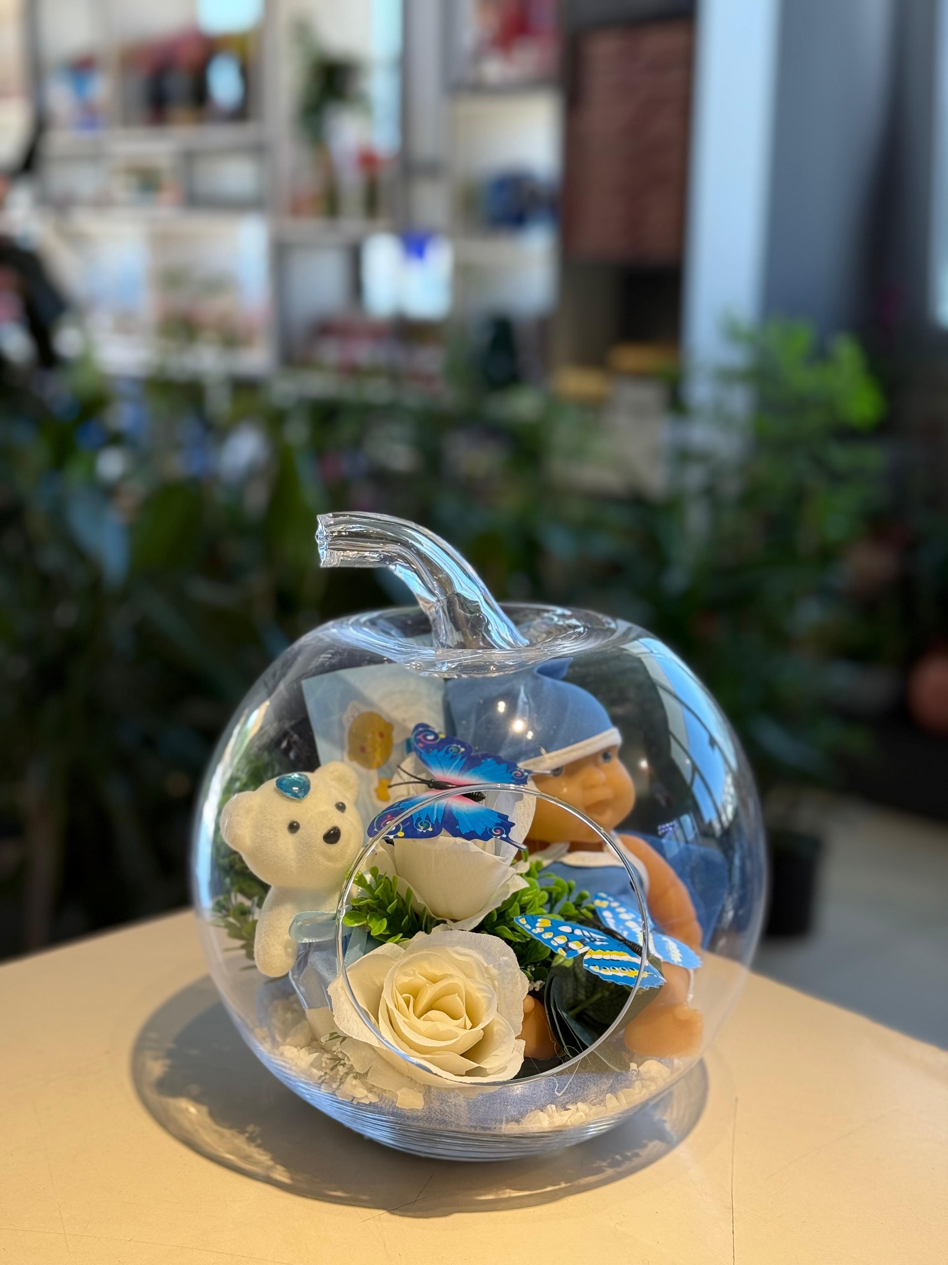 Erkek Bebek Elma Teraryum Ayıcık Detaylı
