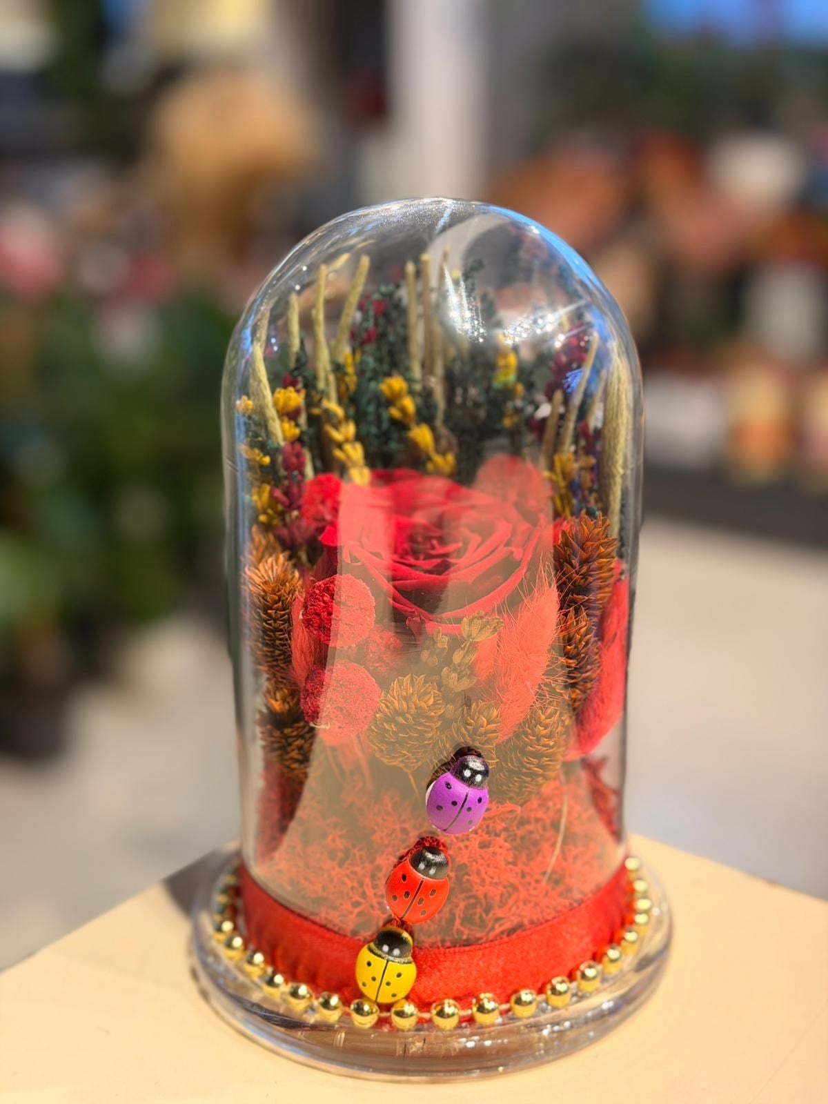 Fanus İçerisinde İthal Şoklanmış Kırmızı Gül Aranjmanı