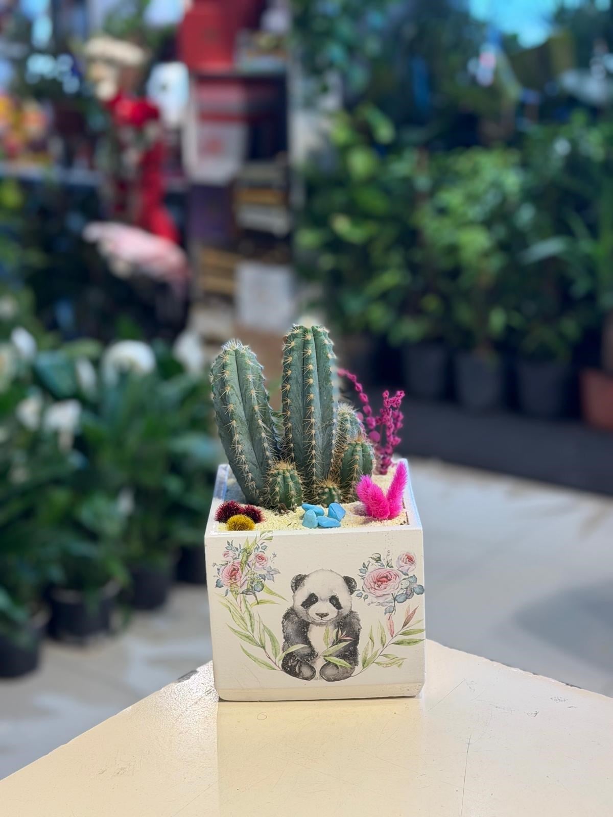 Kare Seramik İçerisinde Kaktüs Pembe Kuru Çiçek Detaylı