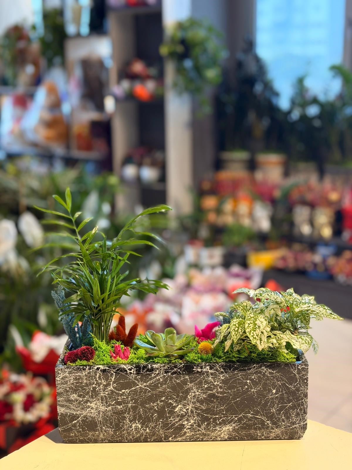 Siyah Desenli Dikdörtgen Seramik https://www.cicekseninle.com Sukulent Kırmızı Kuru Çiçek Detaylı