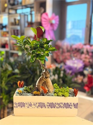 Dikdörtgen Desenli Seramik İçerisinde Bonsai Sukulent Kahverengi Kuru Çiçek