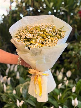 Kır Papatyası Buketi