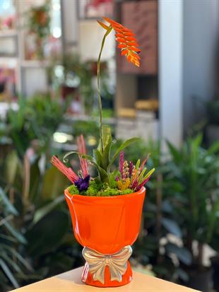 Turuncu Kurdeleli Seramik Bromelia Çiçeği ( Guzmania Türü )