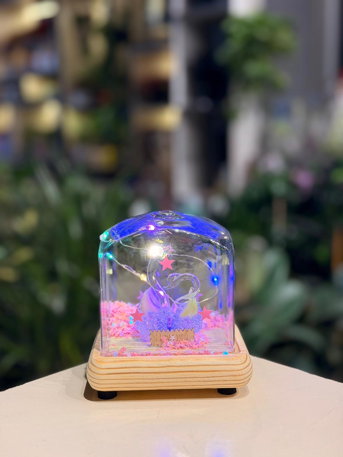 Ahşap Ledli Kristal Fanus 