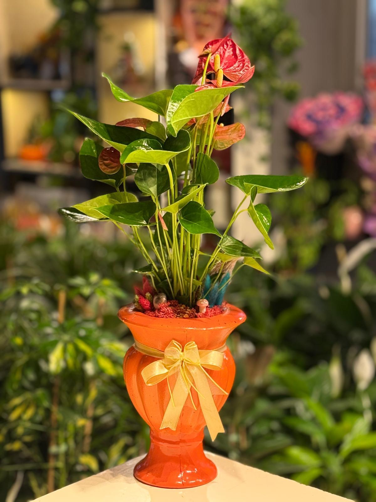 Ayaklı Turuncu Kupa Seramik İthal Kırmızı Antoryum