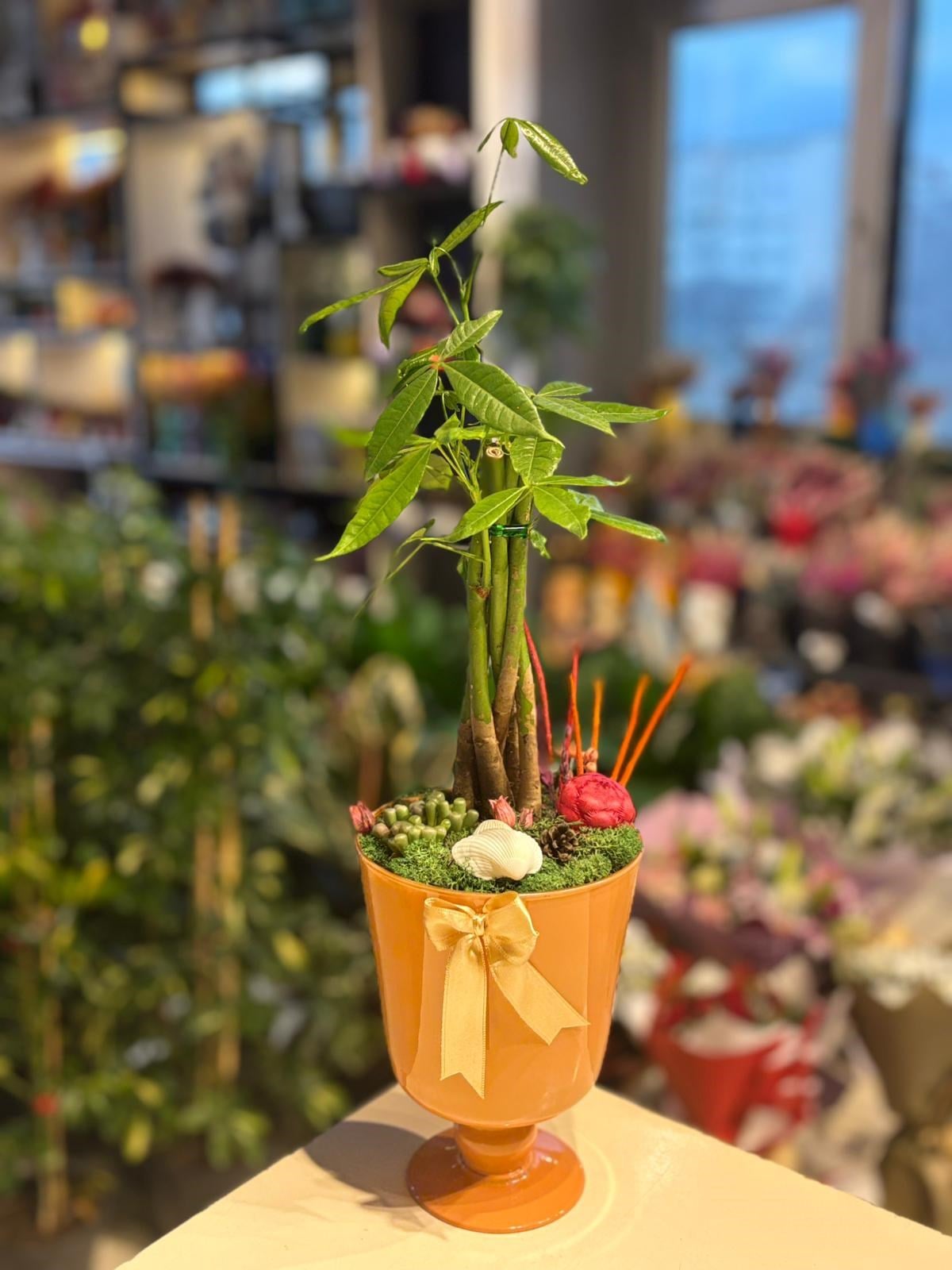 Ayaklı Vazo Para Ağacı