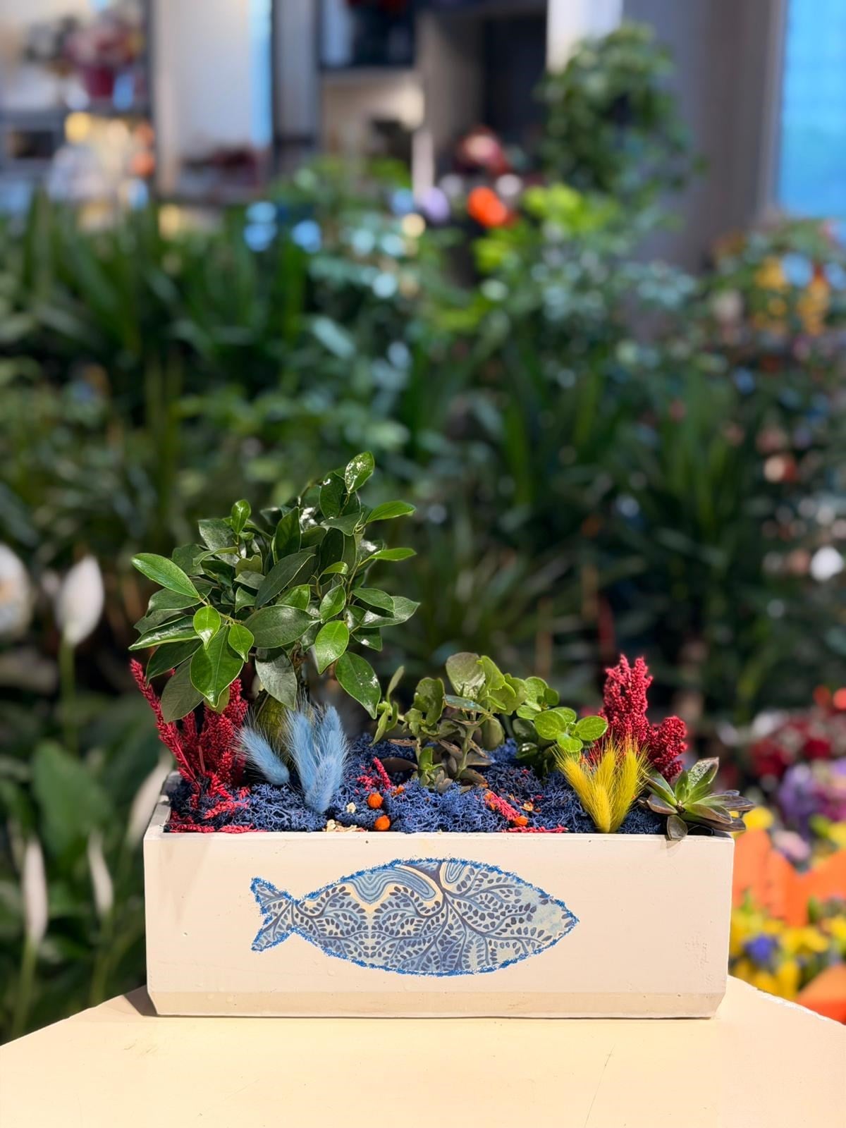 Balık Desenli Dikdörtgen Seramişk Bonsai Sukulent 