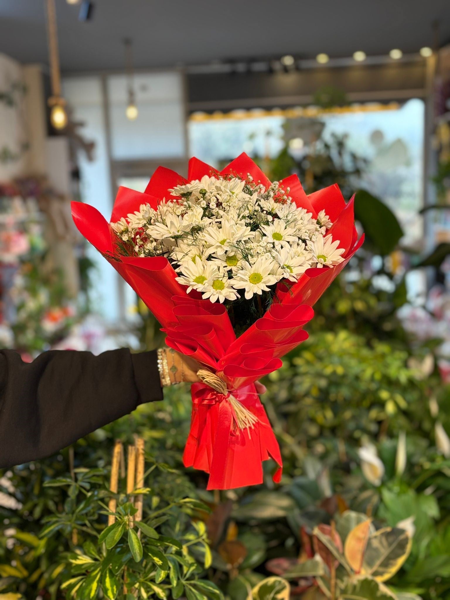 Beyaz Papatya Buketi Kırmızı Paket