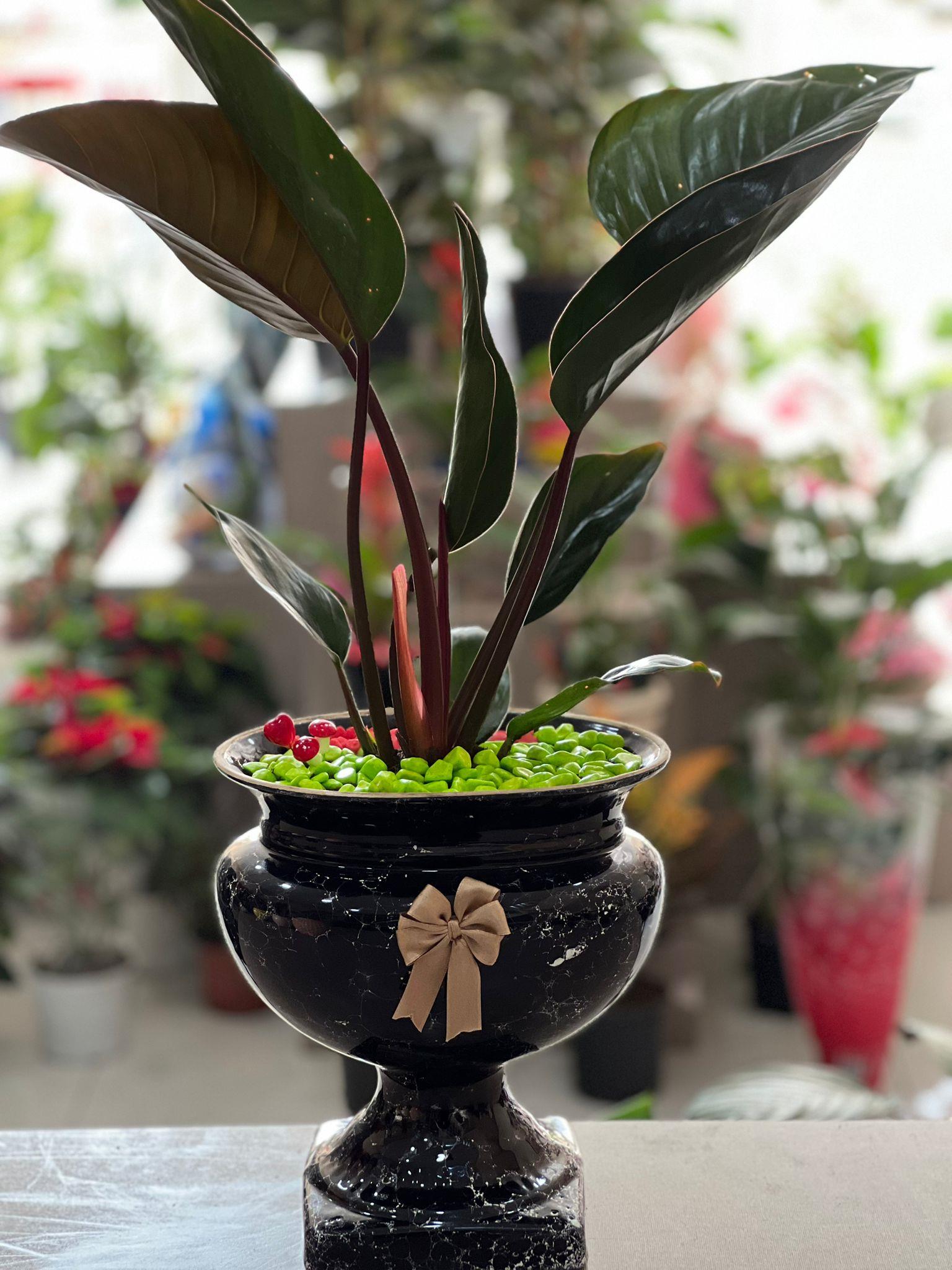 Büyük Siyah Kupa Seramik Dua Çiçeği