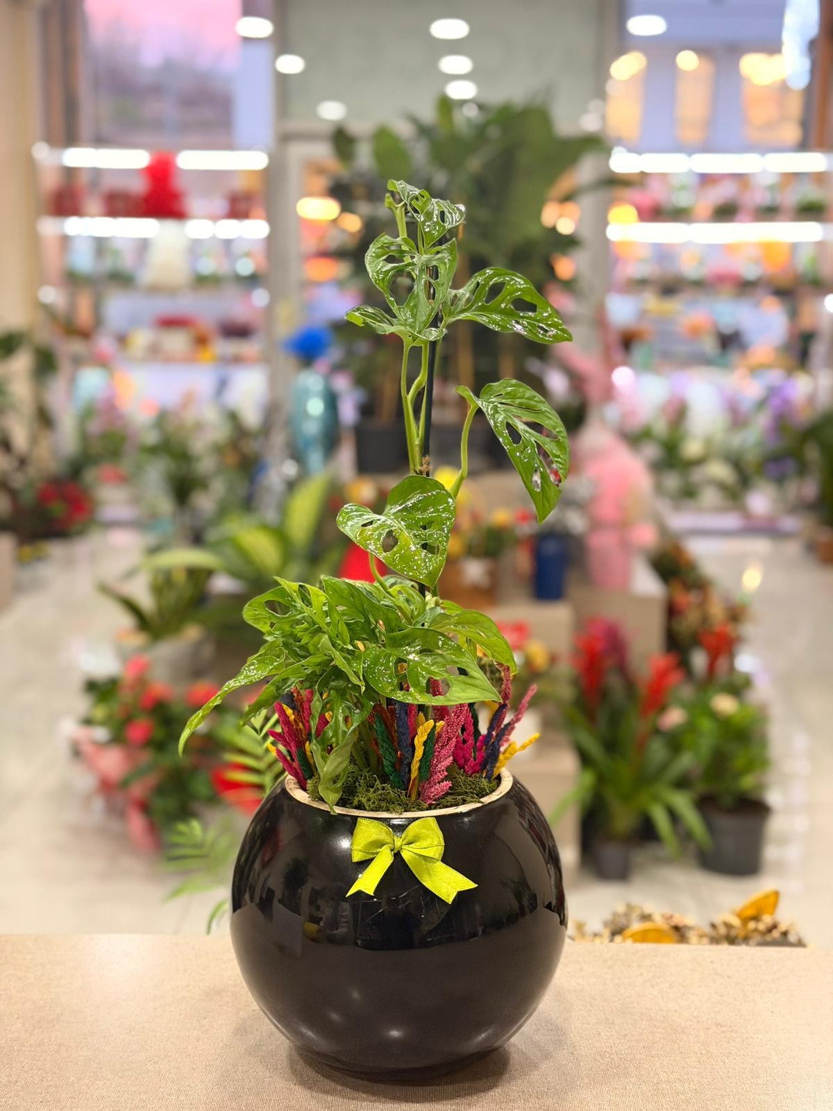 Büyük Siyah Yuvarlak Seramik Monstera Çiçeği