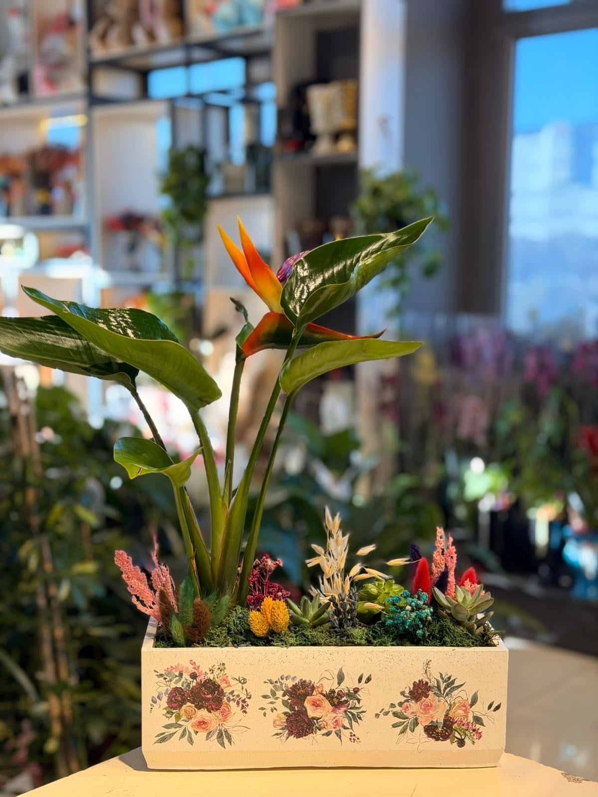 Desenli Dikdörtgen Seramik Starliçe Sukulent Mavi Kuru Çiçek Detaylı ( Çiçeği Yapaydır )