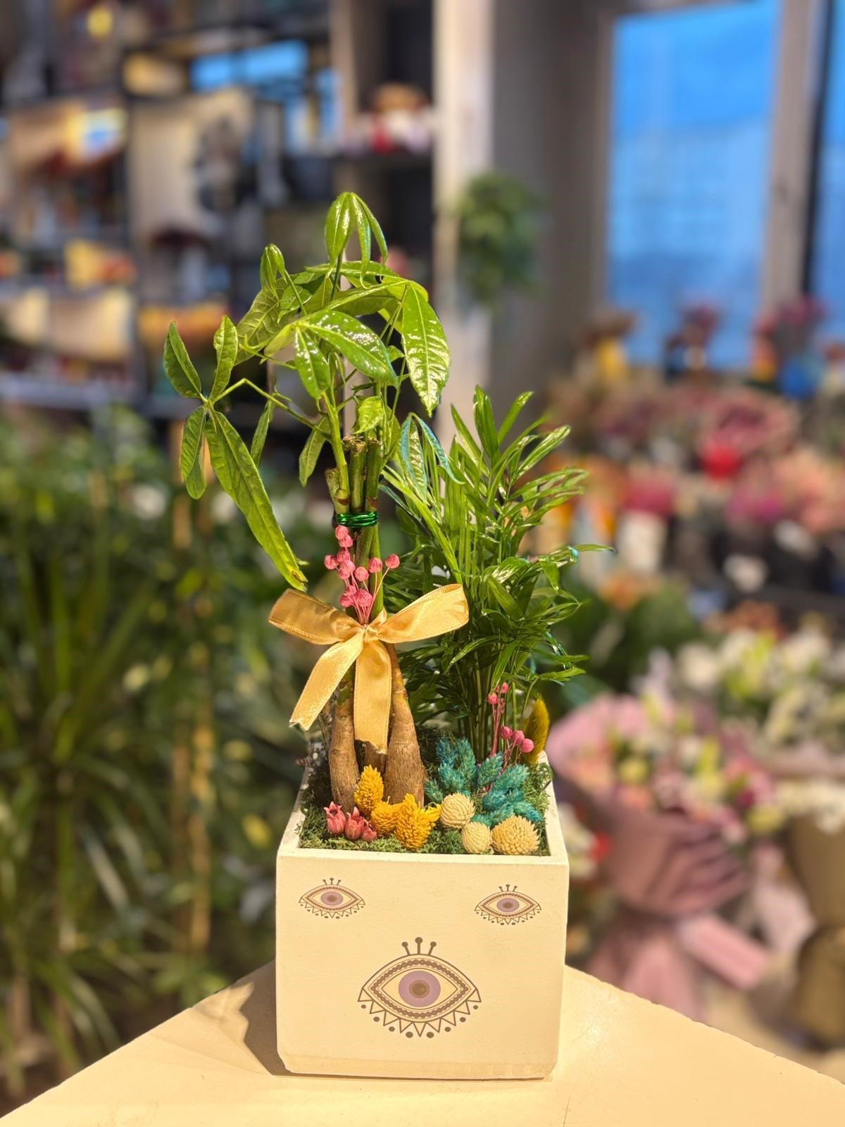 Desenli Kare Seramik Para Ağacı Chamaedorea Mavi Kuru Çiçek Detaylı