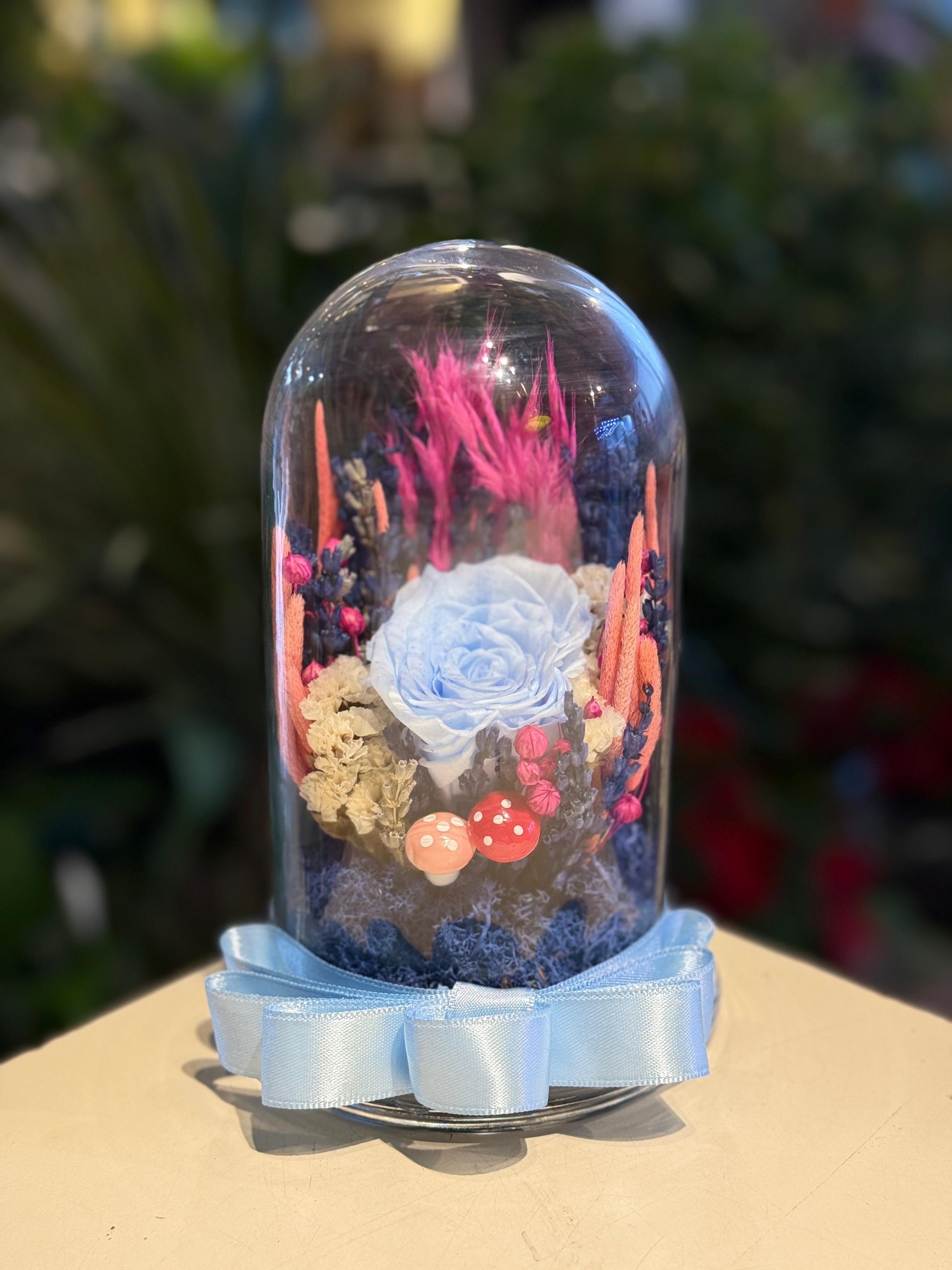 Fanus İçerisinde İthal Şoklanmış Mavi Gül