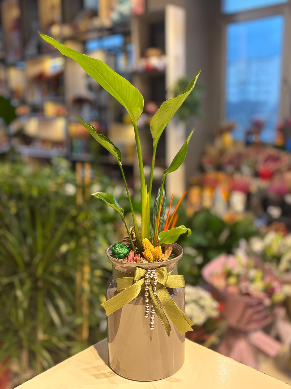 Kahverengi Vazo İçerisinde Starliçe 