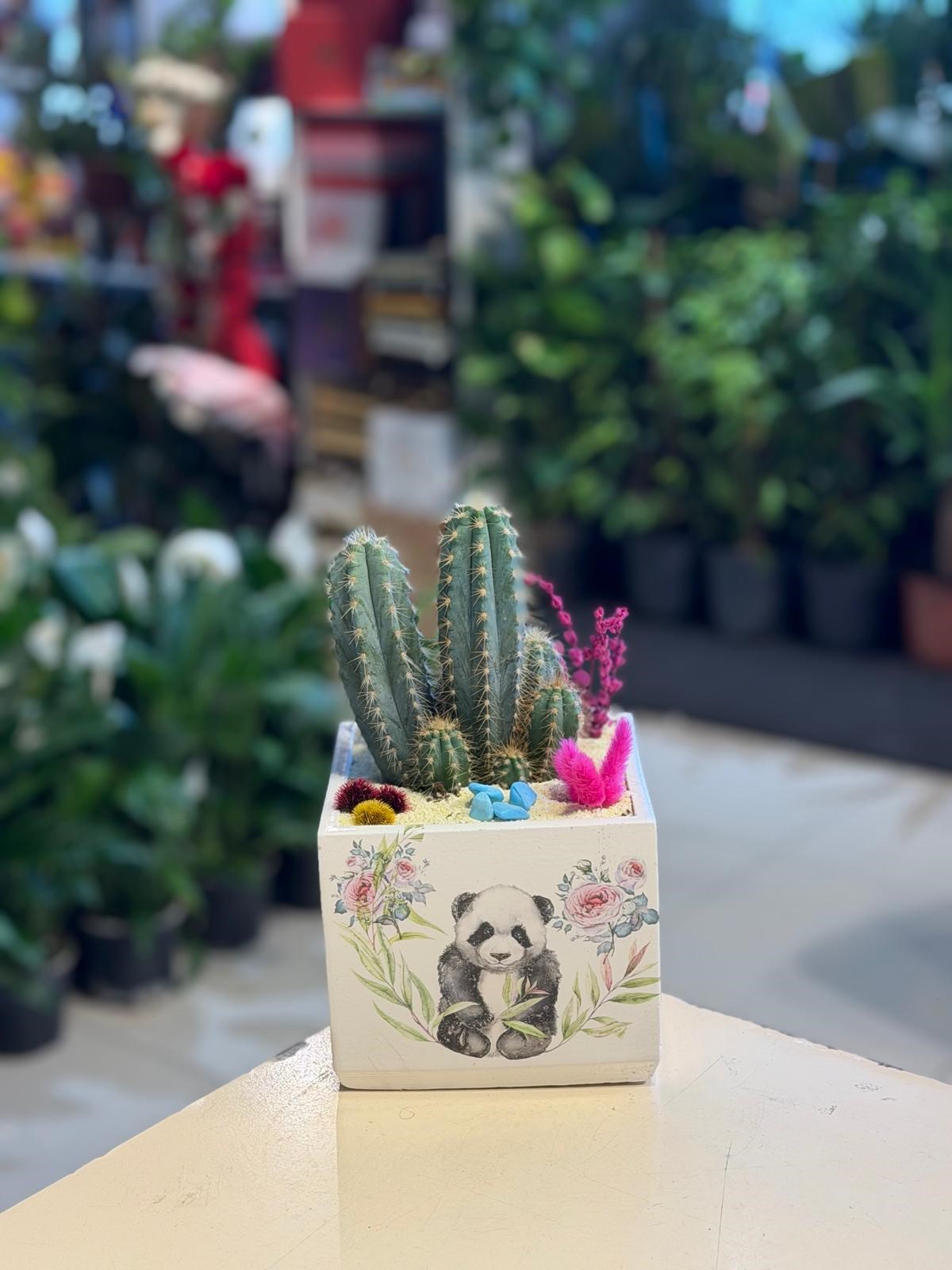 Kare Seramik İçerisinde Kaktüs Pembe Kuru Çiçek Detaylı