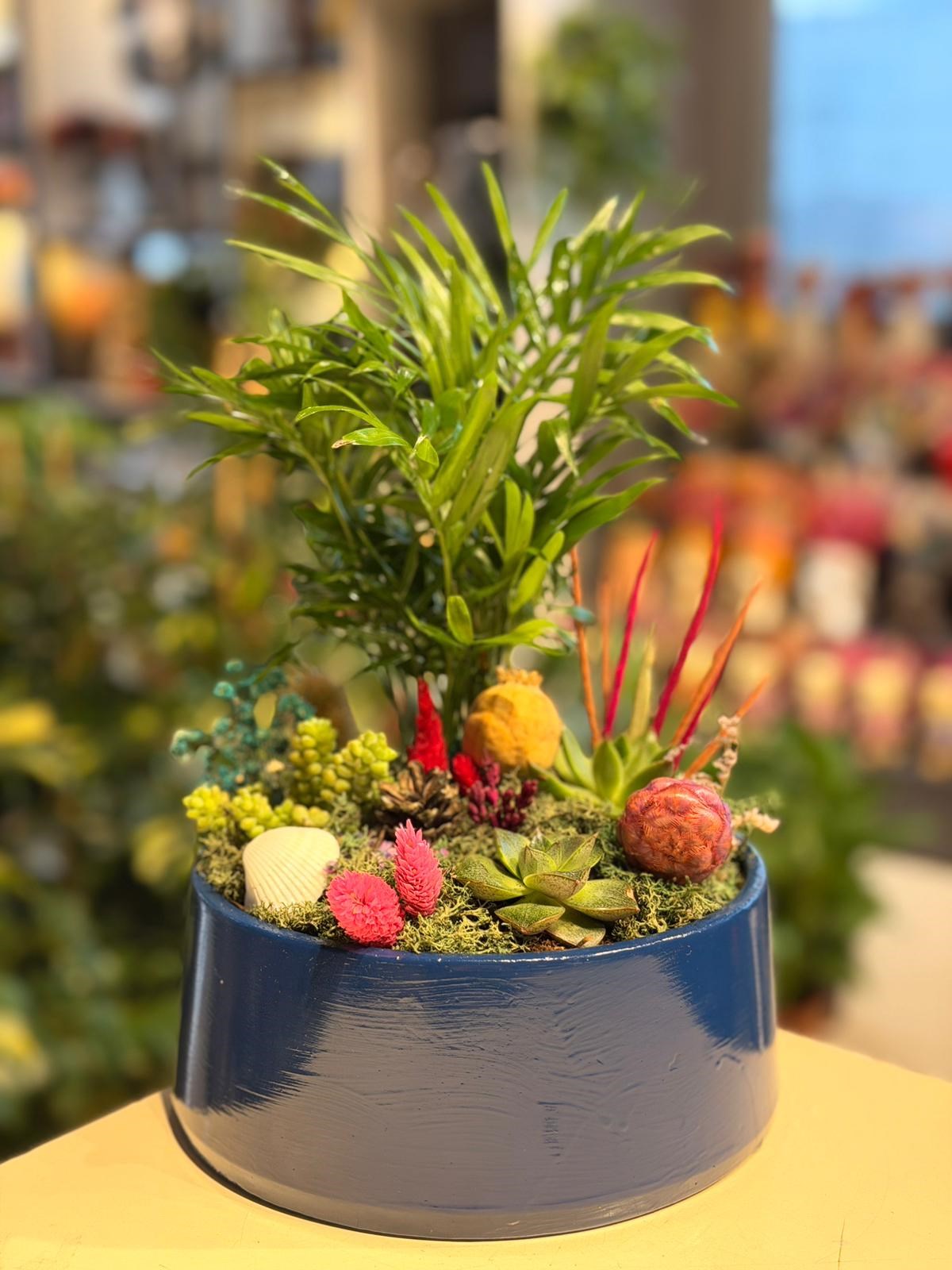 Lacivert Oval Seramik Chamaedorea Sukulent Pembe Kuru Çiçek Detaylı