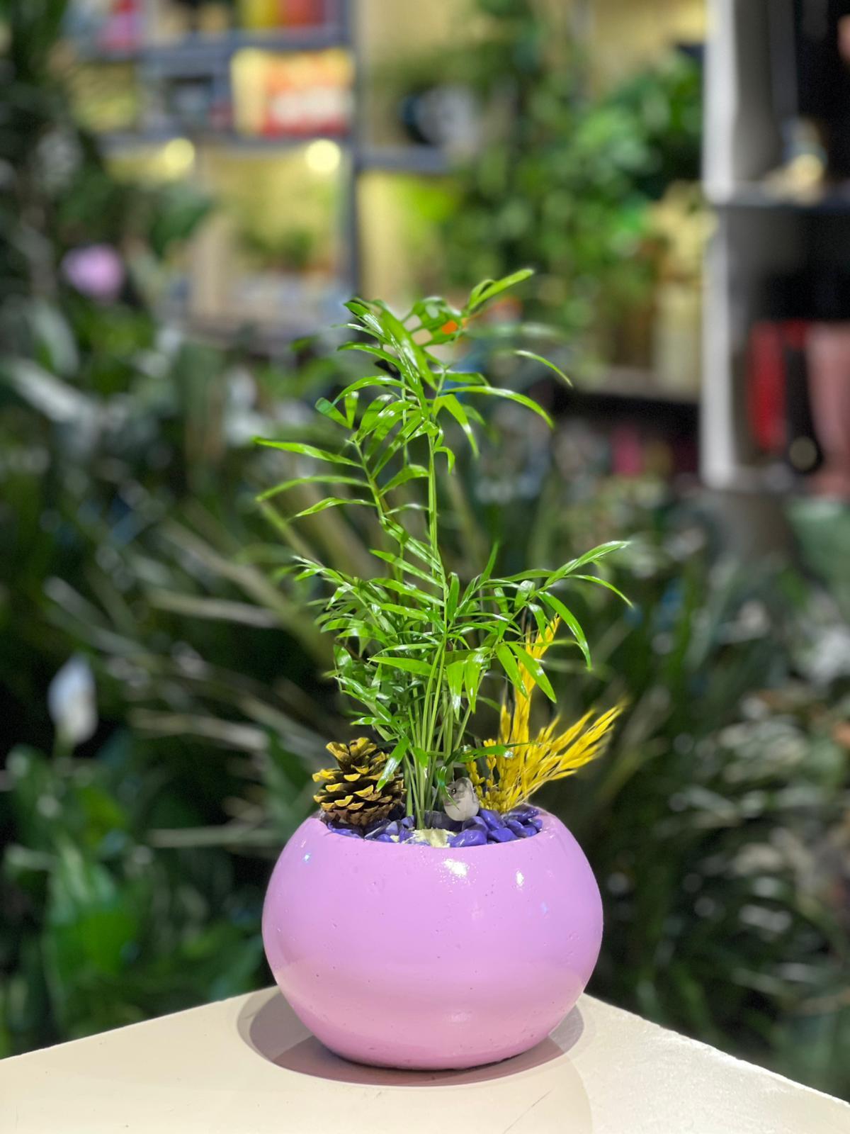 Lila Dünya Seramik Chamaedorea Sarı Kuru Çiçek Detaylı