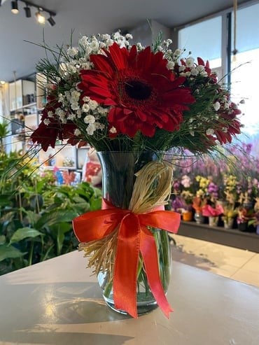 Mika Plastik Vazo İçerisinde Kırmızı Gerbera 7 adet
