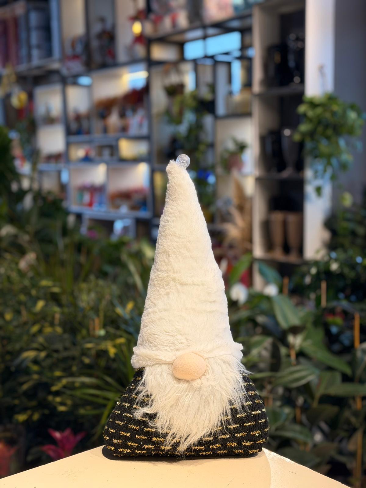 Noel Baba