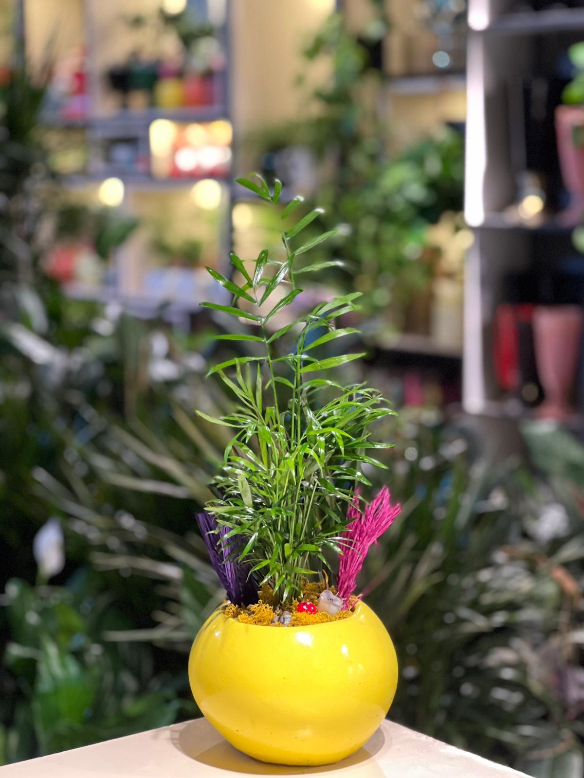 Sarı Dünya Seramik Chamaedorea Pembe Kuru Çiçek Detaylı