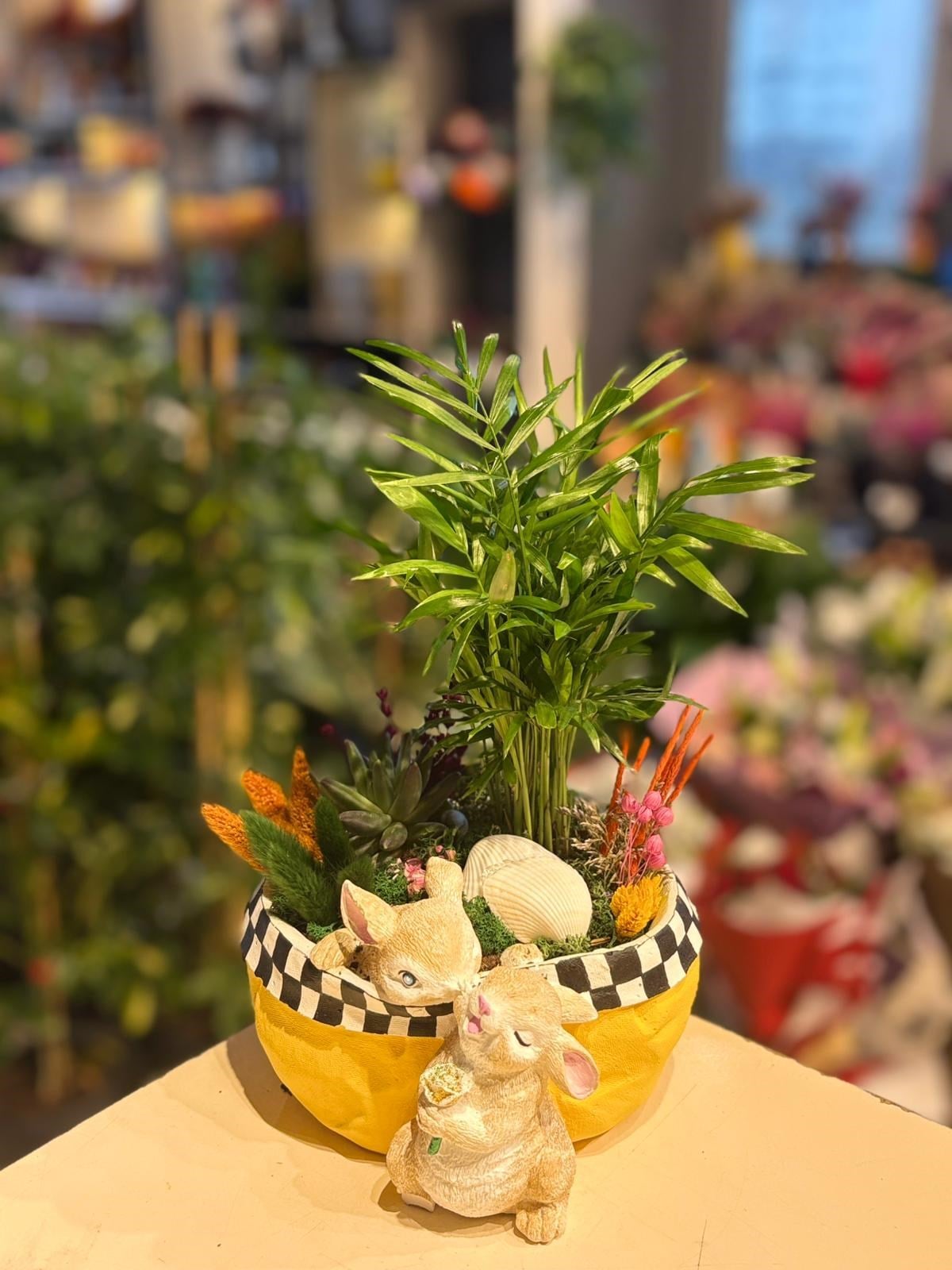 Sarı Tavşan Seramik Chamaedorea Sukulent