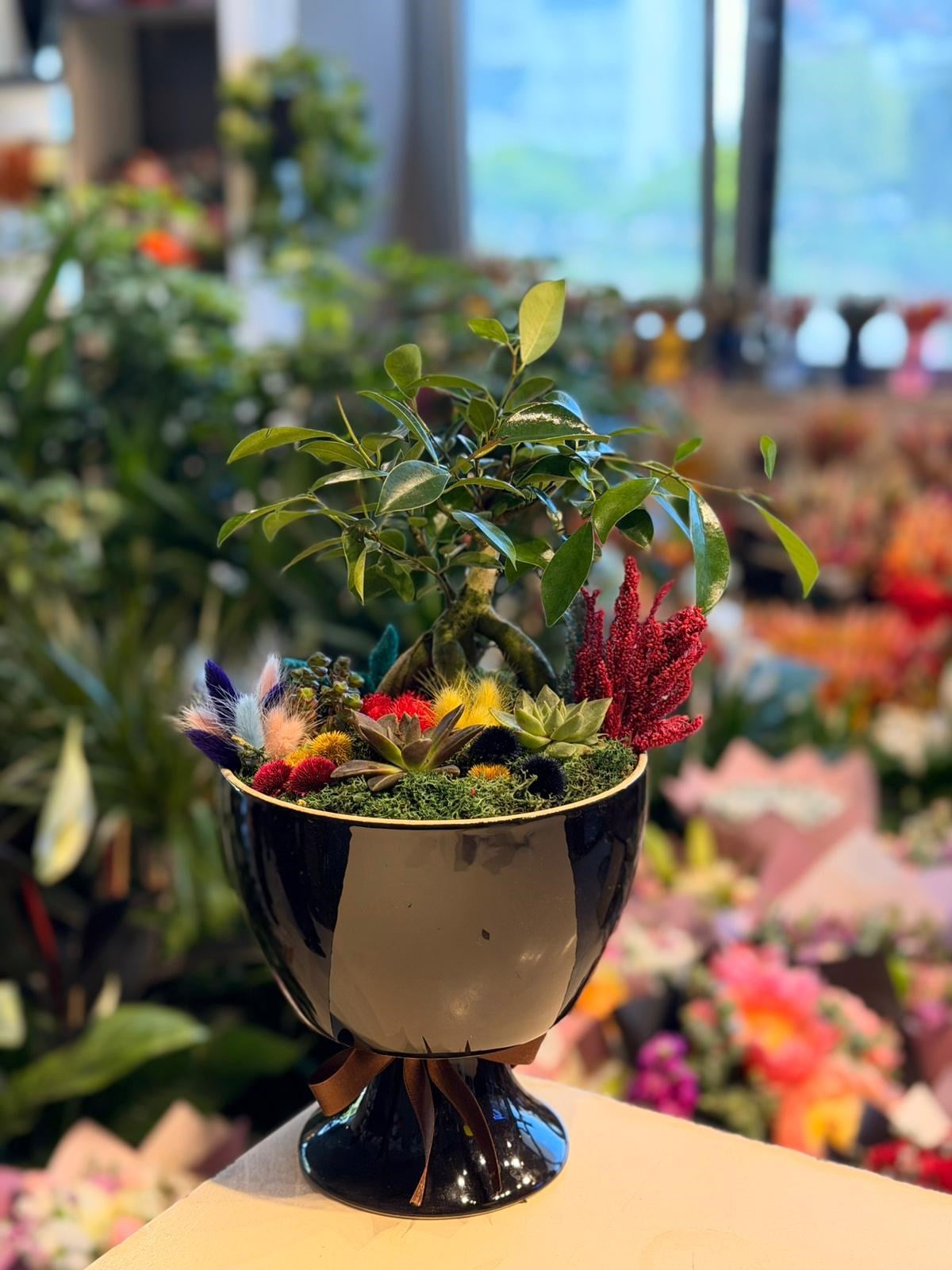 Siyah Ayaklı Seramik Bonsai Sukulent 