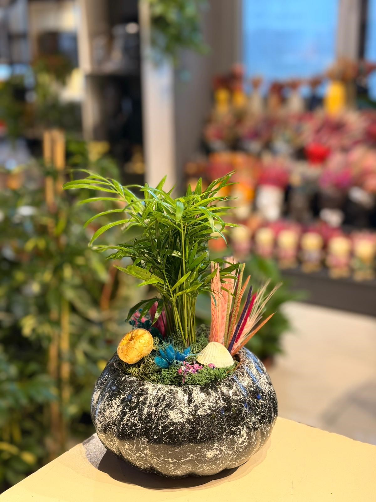 Siyah Beyaz Desenli Seramik Chamaedorea  Mavi Kuru Çiçek Detaylı