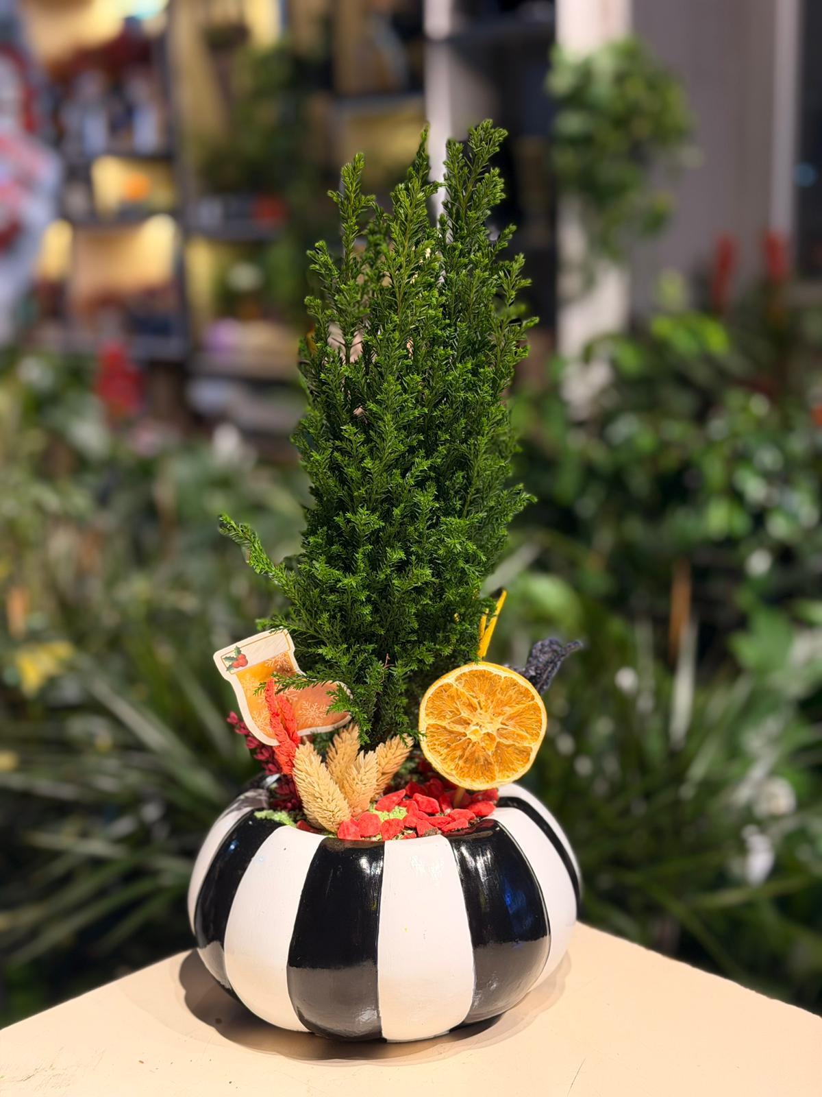 Siyah Beyaz Kabak Seramik Çam Ağacı Kuru Limon Detaylı