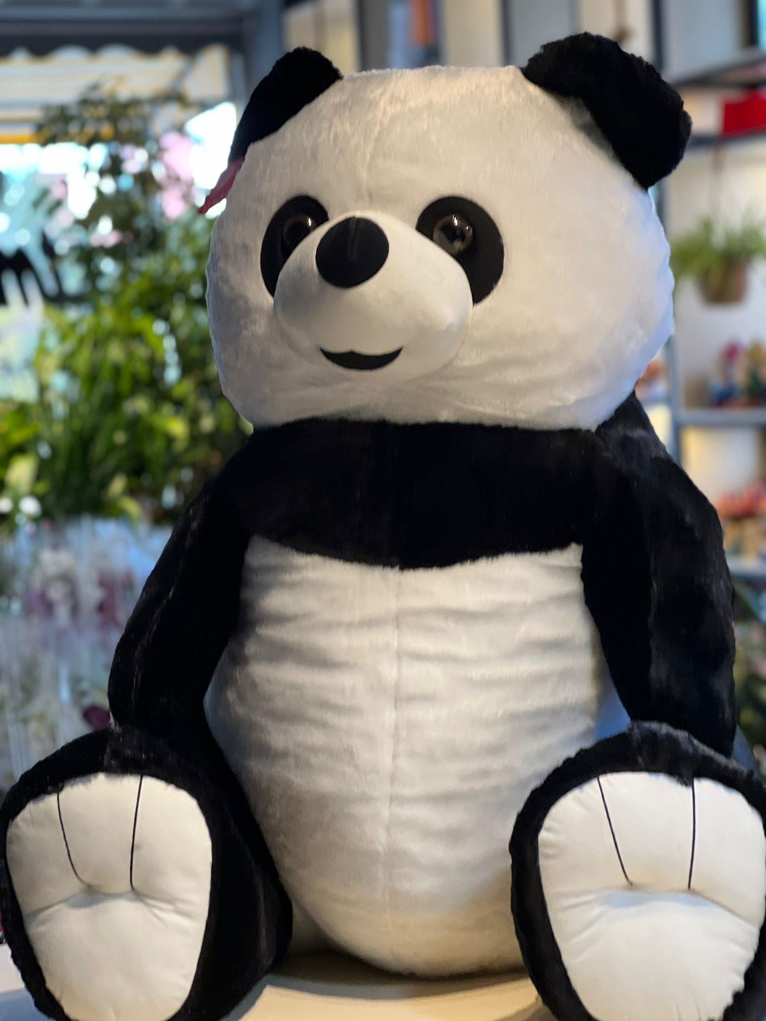 pandaさま Myfriend Çift Taraflı Panda Rakun Peluş 2026 Modeli - Aynı Gün