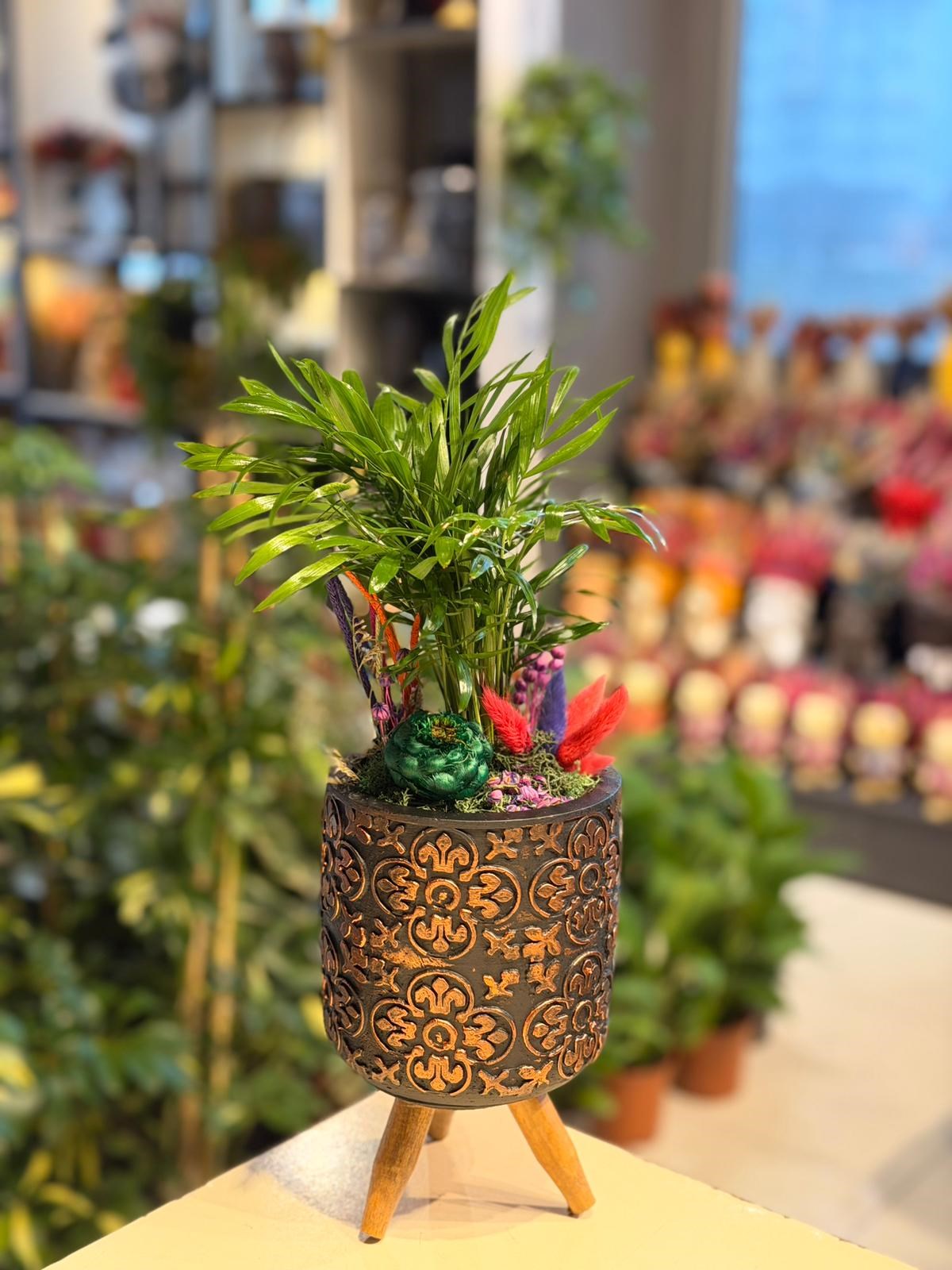 Siyah Gold Desenli Ayaklı Seramik Chamaedorea Yeşil Kuru Çiçek Detaylı