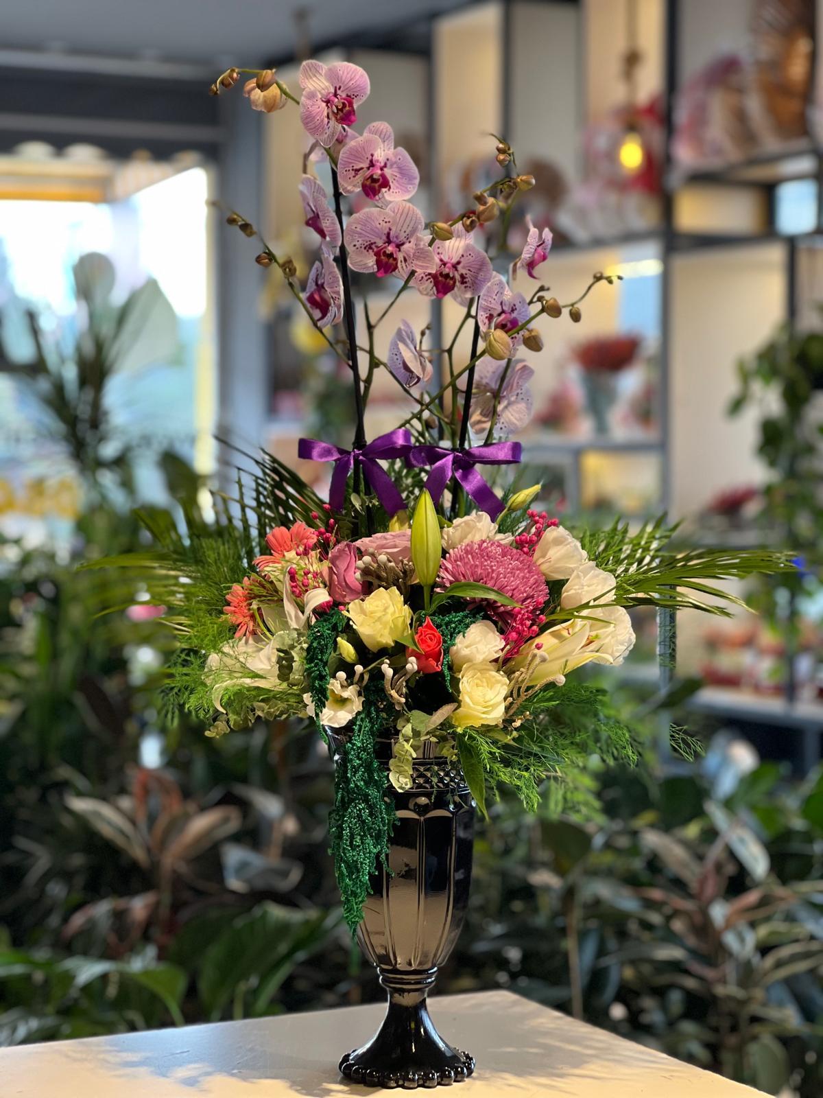 Siyah Vazo İçerisinde Orkide Aranjmanı