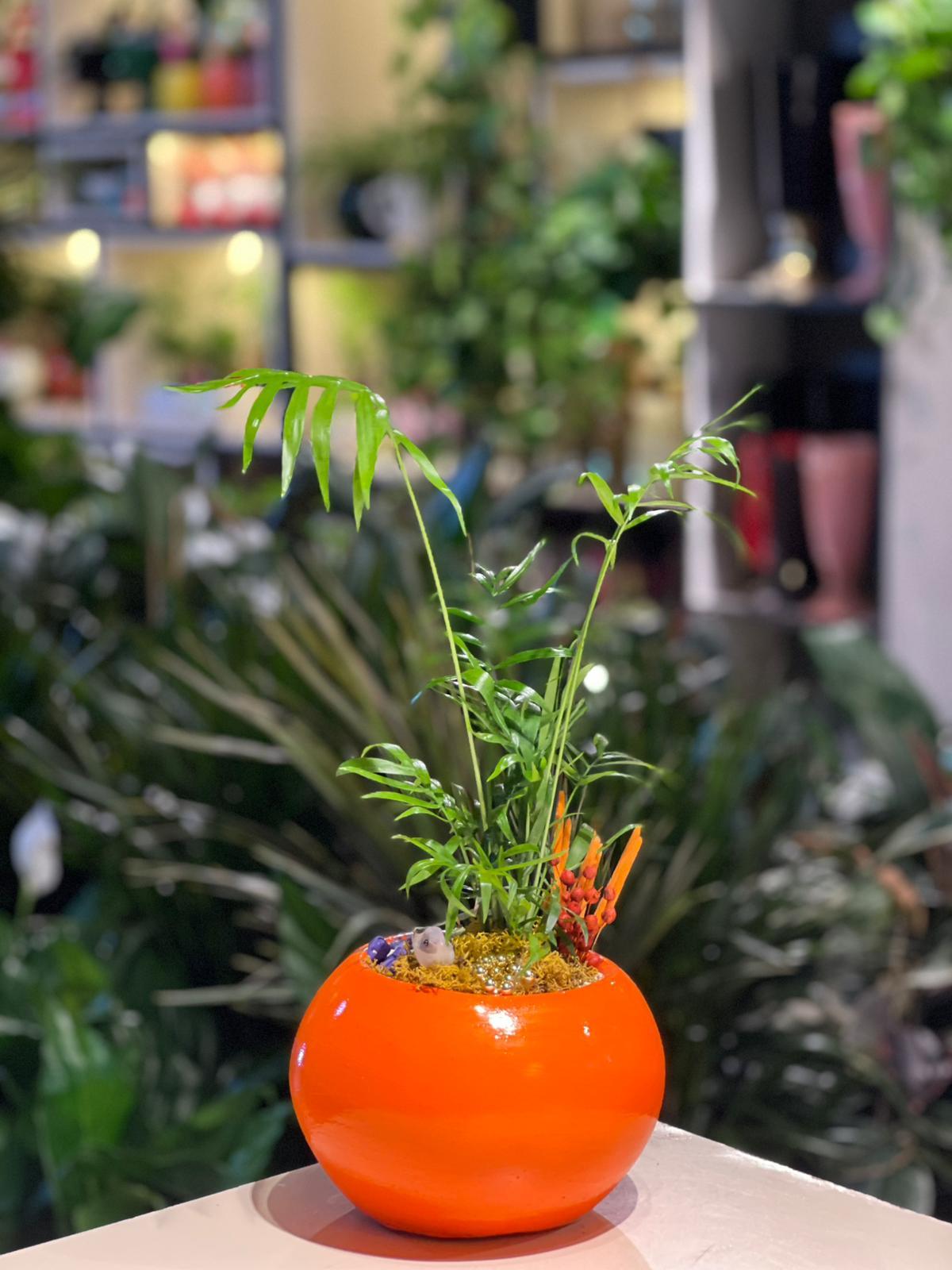 Turuncu Dünya Seramik Chamaedorea Kuş Detaylı