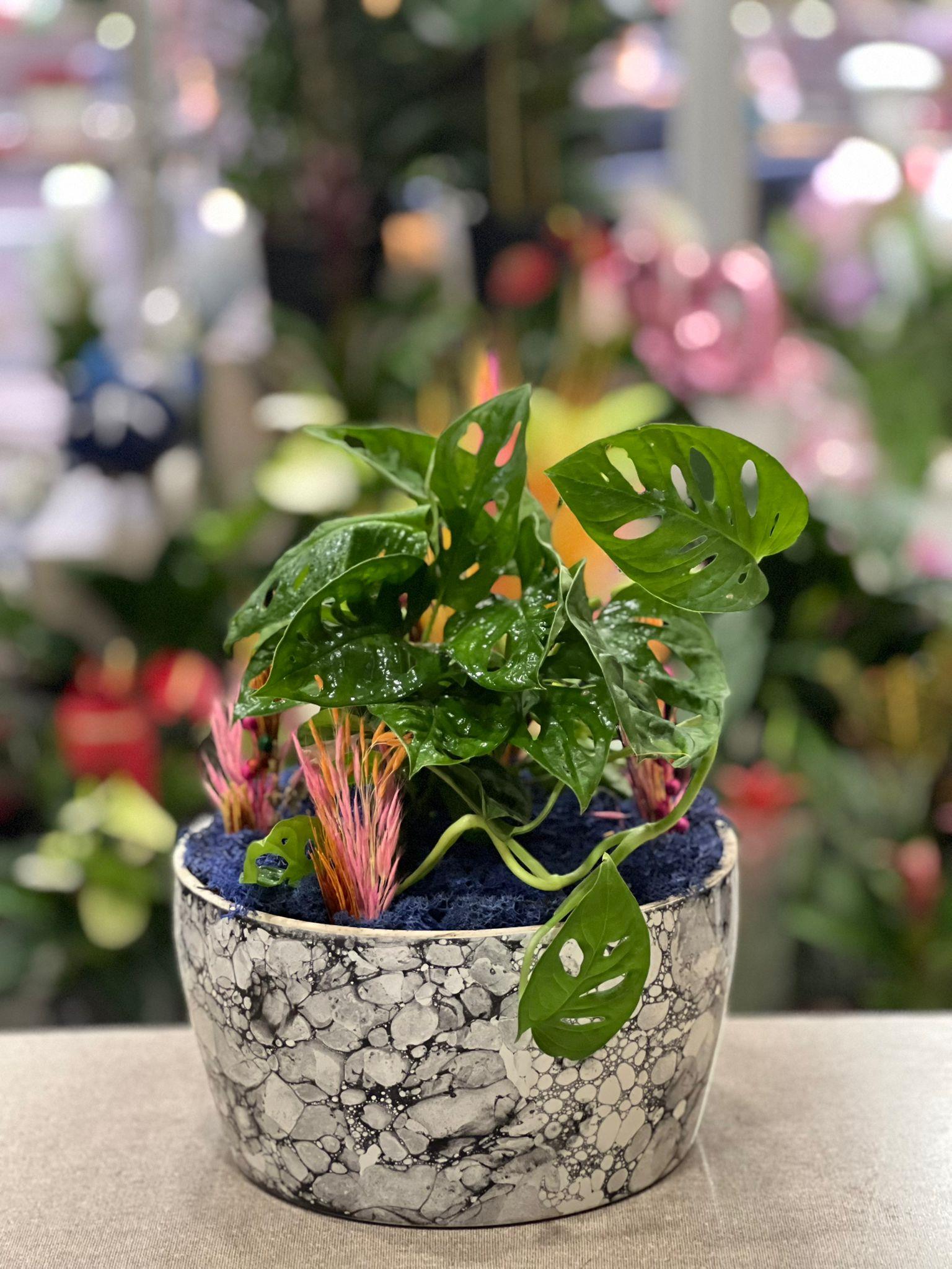 Yuvarlak Desenli Seramik Monstera Çiçeği