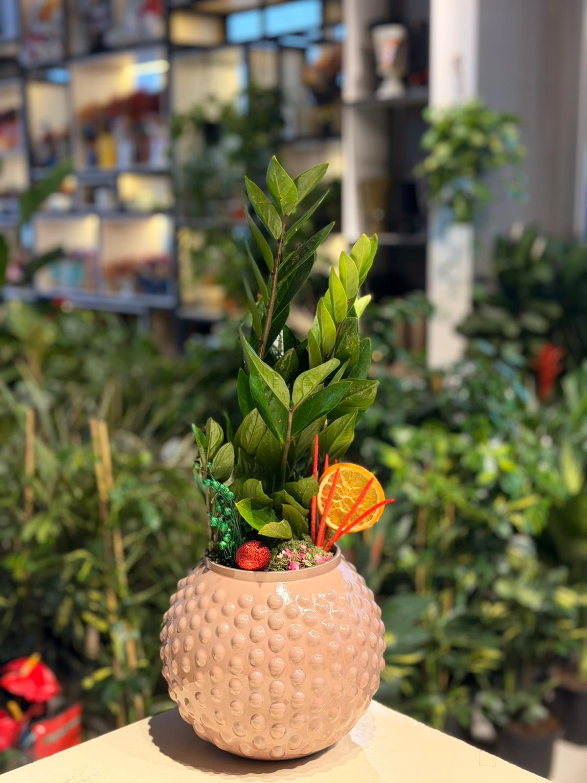 Yuvarlak Pembe Seramik Zamia Çiçeği