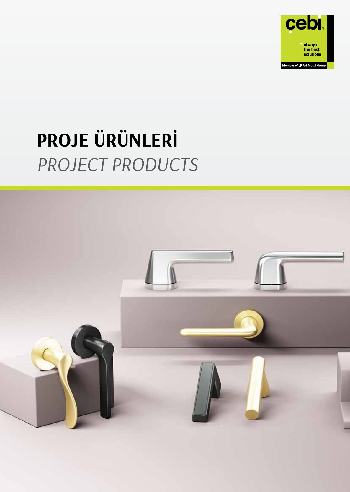Proje Ürünleri