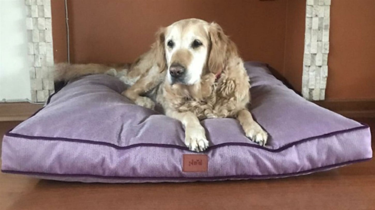 Kedi Köpek Minderi Mor