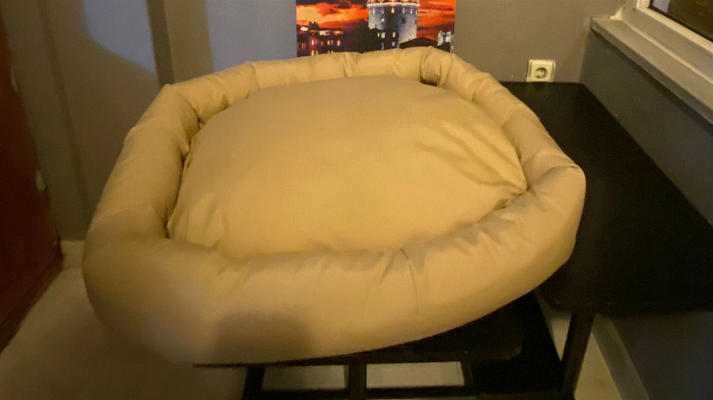 Kedi Köpek Minderi Sarı