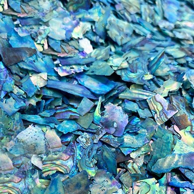 Doğal Deniz Kabuğu Mavi 1 gr - Deniz Esintili Nail Art Tırnak Süsü