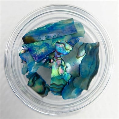 Doğal Deniz Kabuğu Mavi 1 gr - Deniz Esintili Nail Art Tırnak Süsü