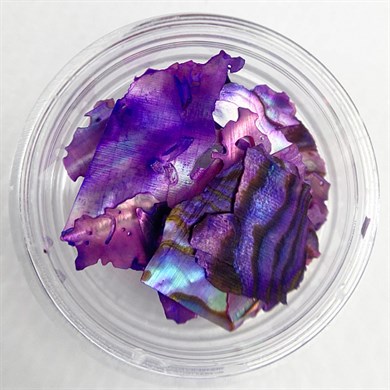 Doğal Deniz Kabuğu Mor 1 gr - Işıltılı Nail Art Tırnak Süsü