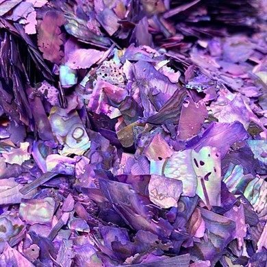 Doğal Deniz Kabuğu Mor 1 gr - Işıltılı Nail Art Tırnak Süsü