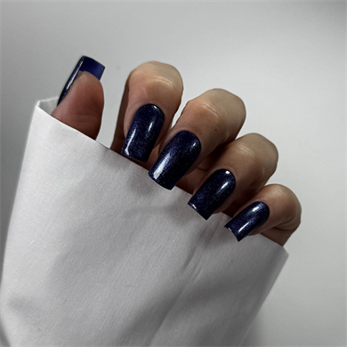 Patrisa Nail Simli Lacivert Kalıcı Oje №195 – TPO Free – 8 ml