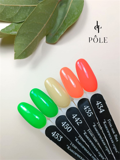 Pole professional kalıcı oje434 8 ml.