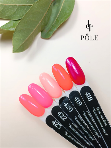 Pole professional kalıcı oje  #422 8 ml.