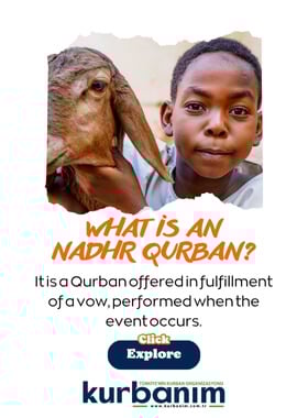 What is a Nadhr Qurban?