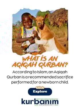What is an Aqiqah Qurban?