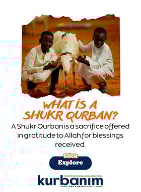 What is a Shukr Qurban?