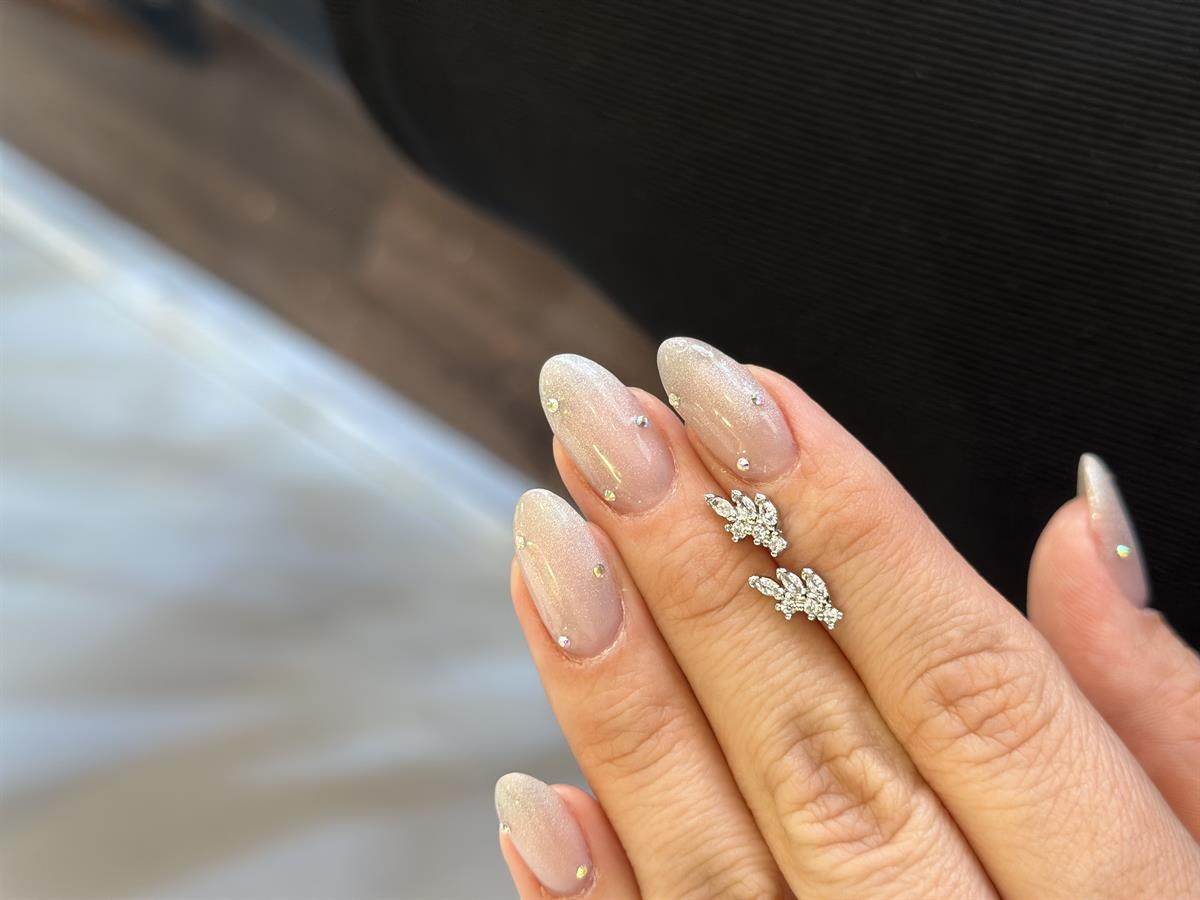 Taşlı Yaprak  Tragus