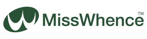 MissWhence 35819 İpek Elbise - Mavi