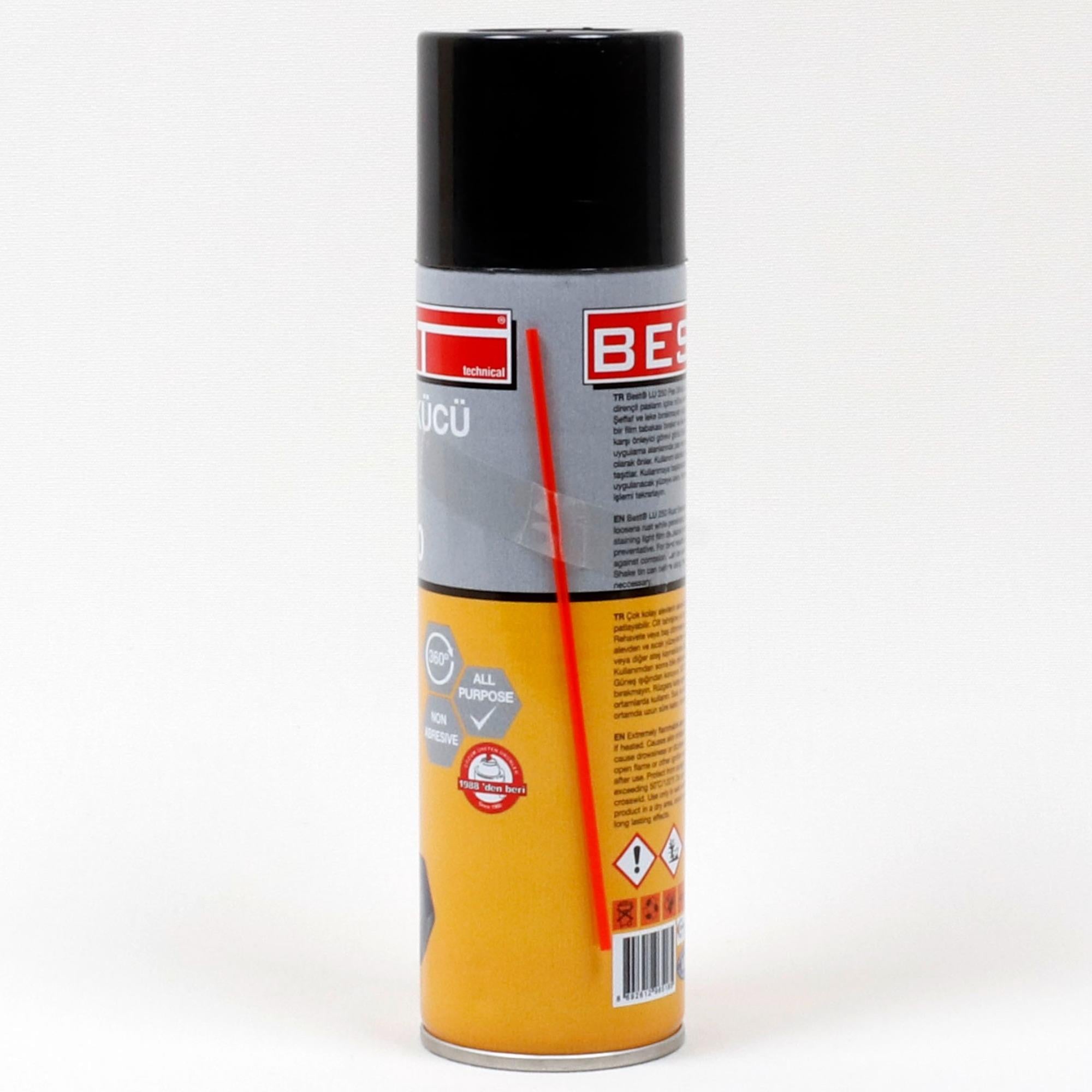 BEST PAS SÖKÜCÜ 250 ML